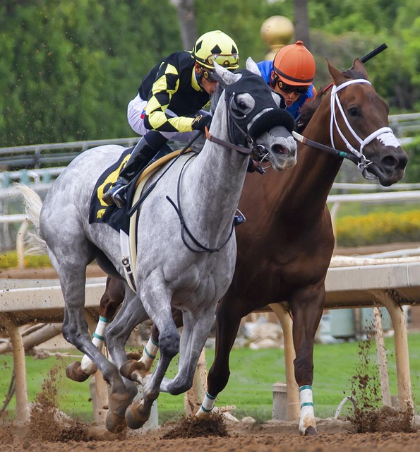 平滑过渡 平滑过渡